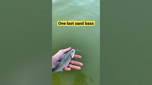 Another catch and release for a small sand bass! - we gotta find some big ones.