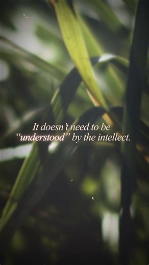 Light Language 1:1 : What is Light Language