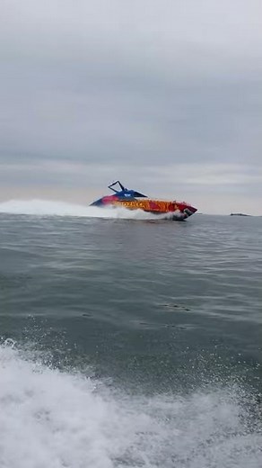 Codzilla Boston harbor