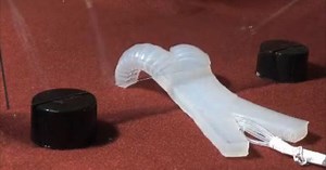 Soft-bodied robot owes its moves to starfish and squid