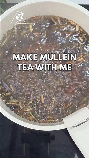 MAKE MULLEIN TEA WITH ME