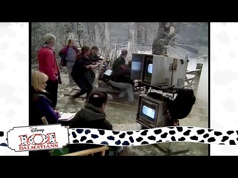 Cast Of The Dog Stars | Behind The Scenes | 101 Dalmatians (1996)