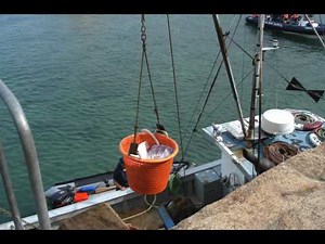 Ep 28 Dick Farrer, Sidewinder Trawling Iceland