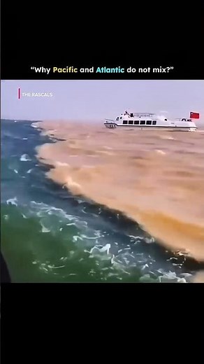 Why Pacific & Atlantic Ocean Do Not Mix ? | The Rascals
