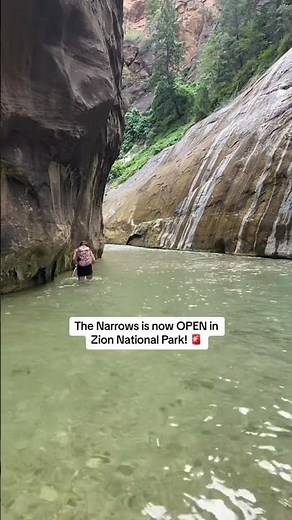 ✨ Everything you need to know about The Narrows! 📝 About The Narrows This is an out and back trail