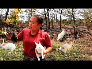 survival skills - woman caught five rabbit and cook chicken with iguana for dog - Eating delicious | Galvin Planet