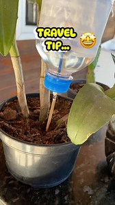 206K views · 121 reactions | A great idea for when you go on a trip 朗 | My Tips Book | Facebook