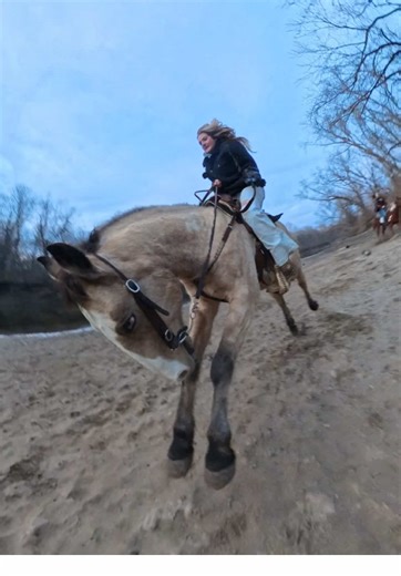 It’s a real life Spirit #stallionofthecimarron #fyp #foryoupage #horse #insta360