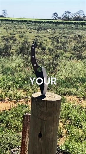 You know how to cook. But your knives are slowing you down. Kaiju knives were created for home chefs who want professional performance without the frustration. Forged from certified Japanese steel, balanced perfectly, and built to stay sharp for life. Meal prep becomes smooth, quick, and effortless — the way it should be. Right now, you can get the full Kaiju Series for up to 60 percent off. Cook like a pro, without paying like one.. Get yours today -> offer.thecookingguild.com | Cooking Guild