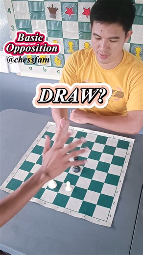 1.1M views · 5K reactions | Basic endgame you should know! Pawn + King vs King Endgame Position #chess #checkmate | ChessFam | Facebook