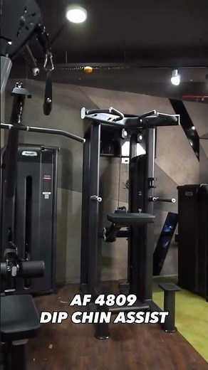 Aerofit AF-4809 Dip Chin Assist