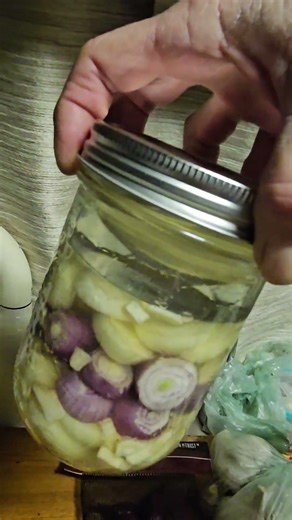 fermenting onions & garlic