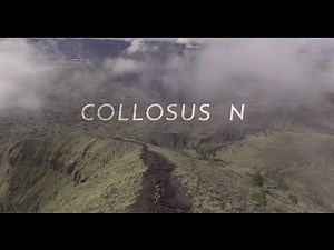 POLYGON ENDURO BIKE - COLLOSUS N