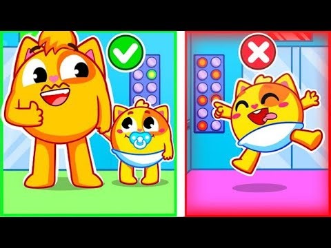 Elevator Safety With for Kids | Funny Dinosaurs Song For Baby & Nursery Rhymes by Toddler Zoo Yay!