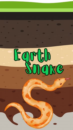 Understanding Earth Snake Traits and Feng Shui for 2025