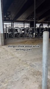 5.7K views · 1.2K reactions | Am I the only one who has 100 tabs open...