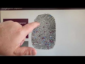 La comparaison d'empreintes digitales