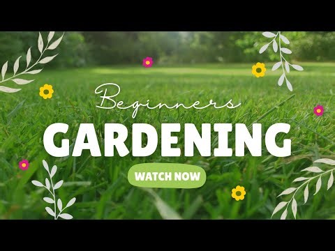 Beginner Gardener Update! (Stopped on my run to film!)