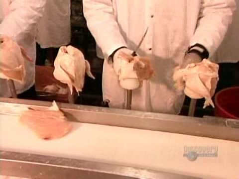 How It's Made Chicken