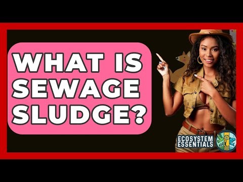 What Is Sewage Sludge? - Ecosystem Essentials