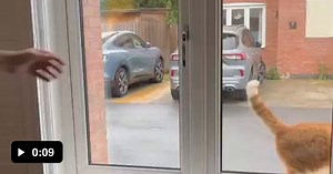 Video Reversed??? - Video