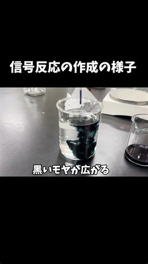 信号反応②【世田谷学園化学部】 #化学 #科学