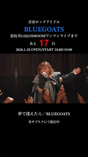 BLUEGOATSツアーファイナル『さらば青春の光』2026.1.28恵比寿リキッドルームにて開催！#BLUEGOATS #アイドル #ライブ #青春 #ロック