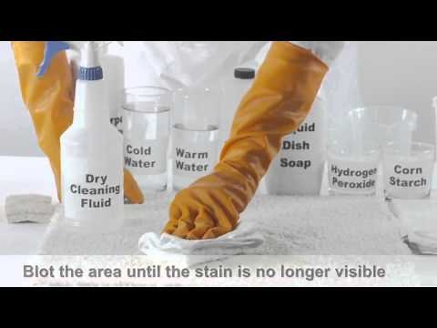 How to Clean Vomit from Carpet