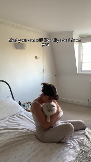 Lily's Kitchen Chicken Treats Review for Fussy Cats