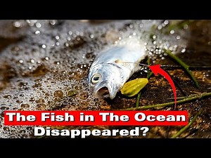 Why Are Fish Dying? The Shocking Truth Behind Mass Fish Die-Offs