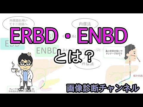 医療用語のERBD,ENBDとは？図を用いてわかりやすく解説！