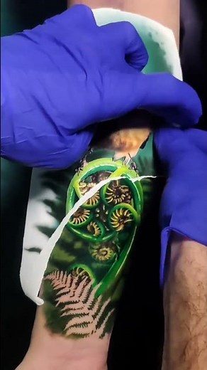🦜Bird Tattoo, Beautiful Bird Tattoo, Best Bird Tattoo, Lovely Bird Tattoo, Bird Tattoo Time Lapse