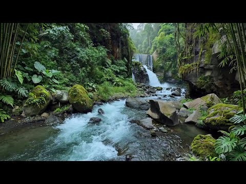 Forest Ambience Beautiful Stream Sounds for Deep Rest, Sleep, Relaxation & Study Focus ASMR