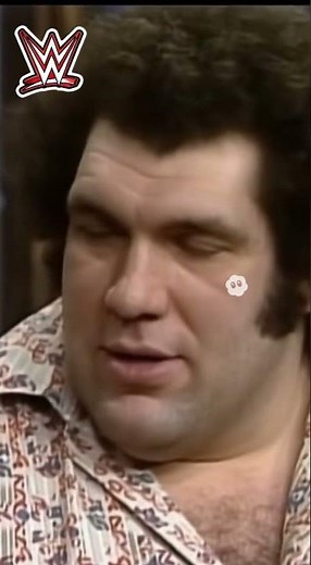 Andre The Giant lost interview with Mr. Rogers. #funny #television #wwe #andrethegiant
