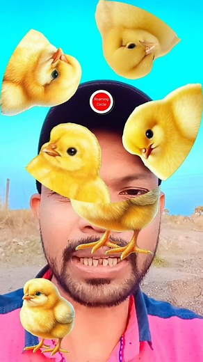chick 🐤 correct set puzzle🧩 game🎮 challenge 💪🎯 #chick #chicken #reels #viral #puzzle #challenge #games #fb #fbreels2025ツ #highlight #foryoupage | Roaming Circle