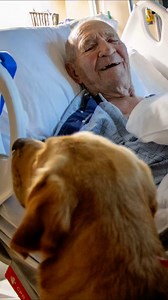 21K views · 418 reactions | Decatur Paw Patrol, hospital edition. #nationaldogday | Wise County Messenger | Facebook