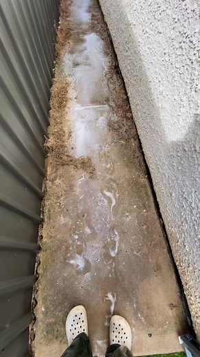 Cleanstruct Brick Cleaning on Reels