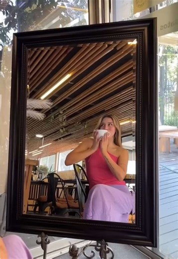 Cafetería de Gatitos en Santiago: Un Paraíso para Amantes de Gatos