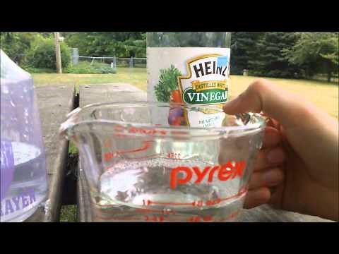 How To Make Horse Fly Spray || simple easy works