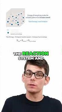 Entropy & Feasibility ⚛️ | When Can a Reaction Happen?