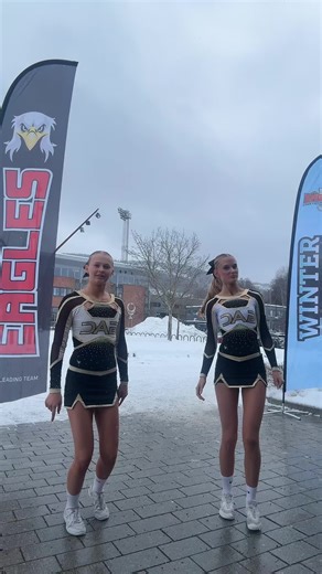 Delicious Winter Brownies Recipe from Norway