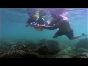 Samantha Brown - Snorkeling in Maui