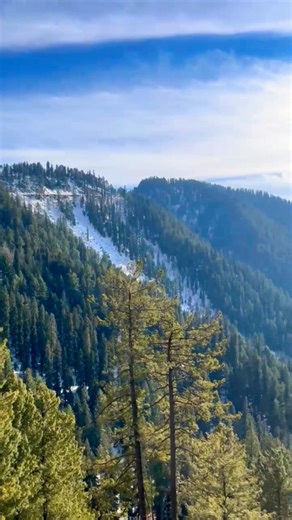 Nathia Gali ❤️🌷🌨️ #nature #mountains #pakistan #snow