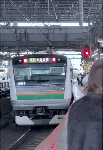 🇯🇵Tokaido Line Train Arriving and Departing