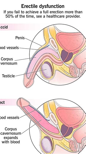 F-Cammaris on Instagram: "Do This…To Reclaim It👇🏿 1 - Prioritize Lean, High-Quality Protein 🥘 If your meals don’t revolve around protein, forget about looking lean and muscular. Grocery List: • Chicken breast, steak, or lean beef • Eggs - whole and plenty • Greek yogurt (high protein) • Vegetables for micronutrients • Potatoes, rice, or fruit for clean carbs Protein feeds the muscle. Muscle shapes the body. Muscle burns fat. 2 - Hydrate Like Your Life Depends on It 💦 Most men think they’re t
