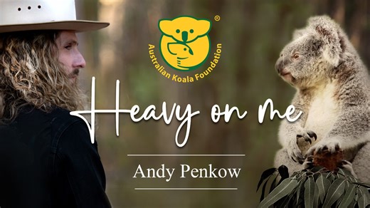 5.5K views · 83 reactions | Heavy On Me official music video out now! The AKF is incredibly excited to share this project, created in collaboration with Andy Penkow for Save the Koala Day & featuring footage from The Koala Army's March for Creatures Great and Small! Heavy on Me is an anthem that encourages people to speak up for the animals that cannot speak for themselves. #STKM #notreenome | Australian Koala Foundation | Facebook