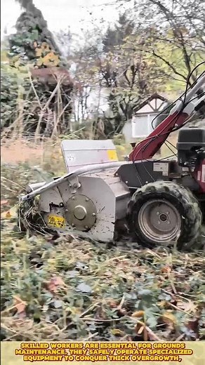 Land clearing: Skilled workers operate heavy machinery safely