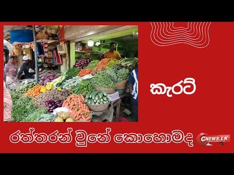 කැරට් රත්තරන් වුනේ කොහොමද ?#trending #currentevents #CNEWS.LK