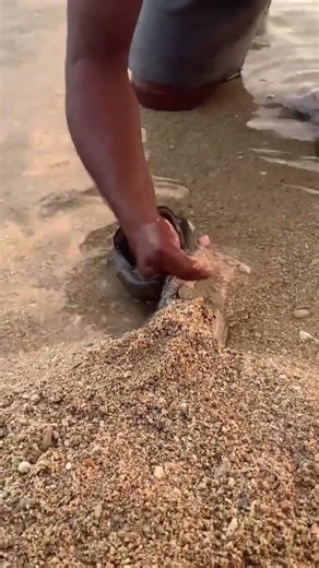 Amazing video #fishing #rivercrab #foryou