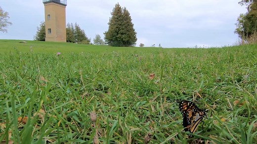 1.3K reactions · 490 shares | 曆Every late summer and early fall,...